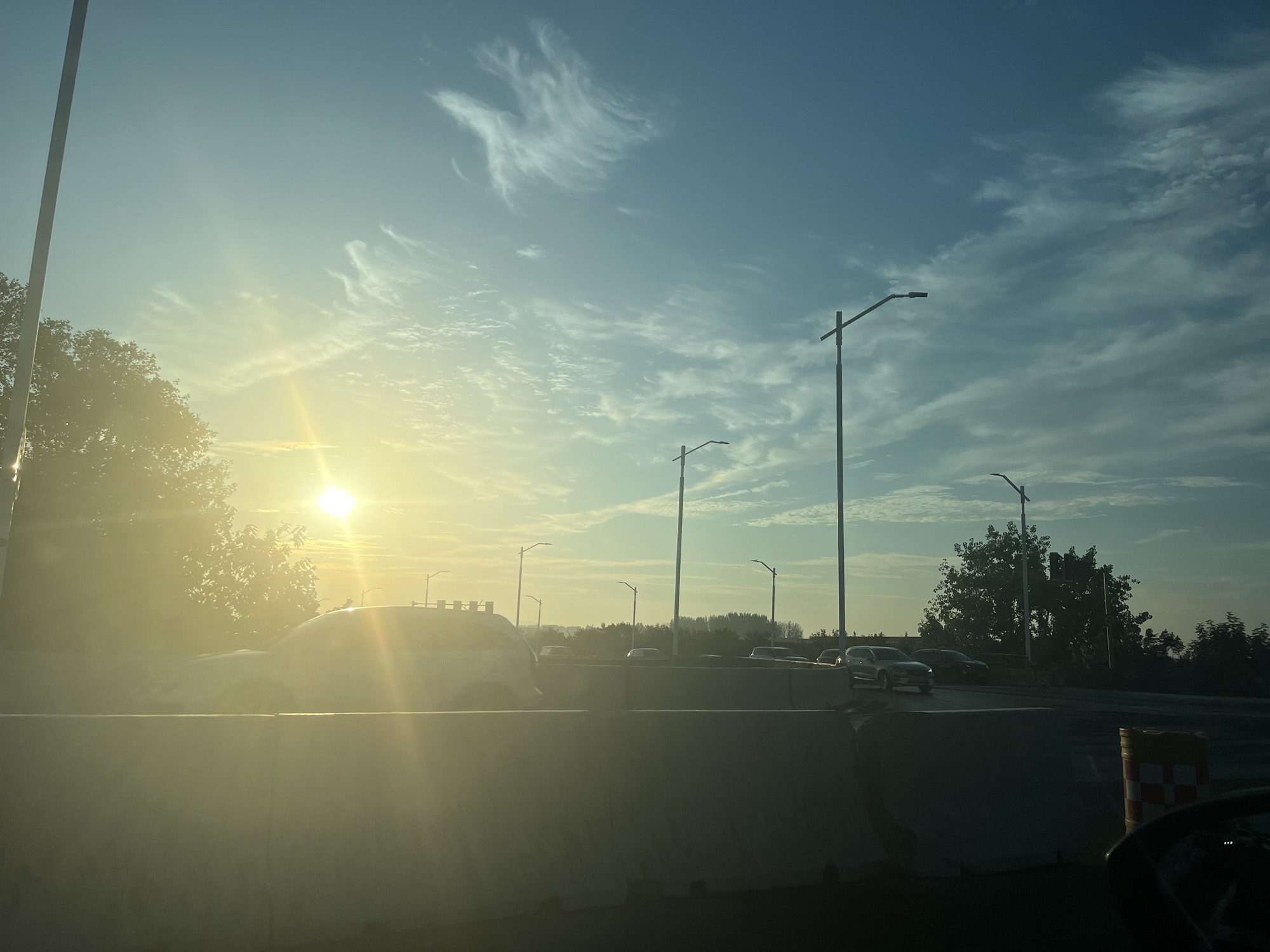 天长市森林公园旅行图片 1