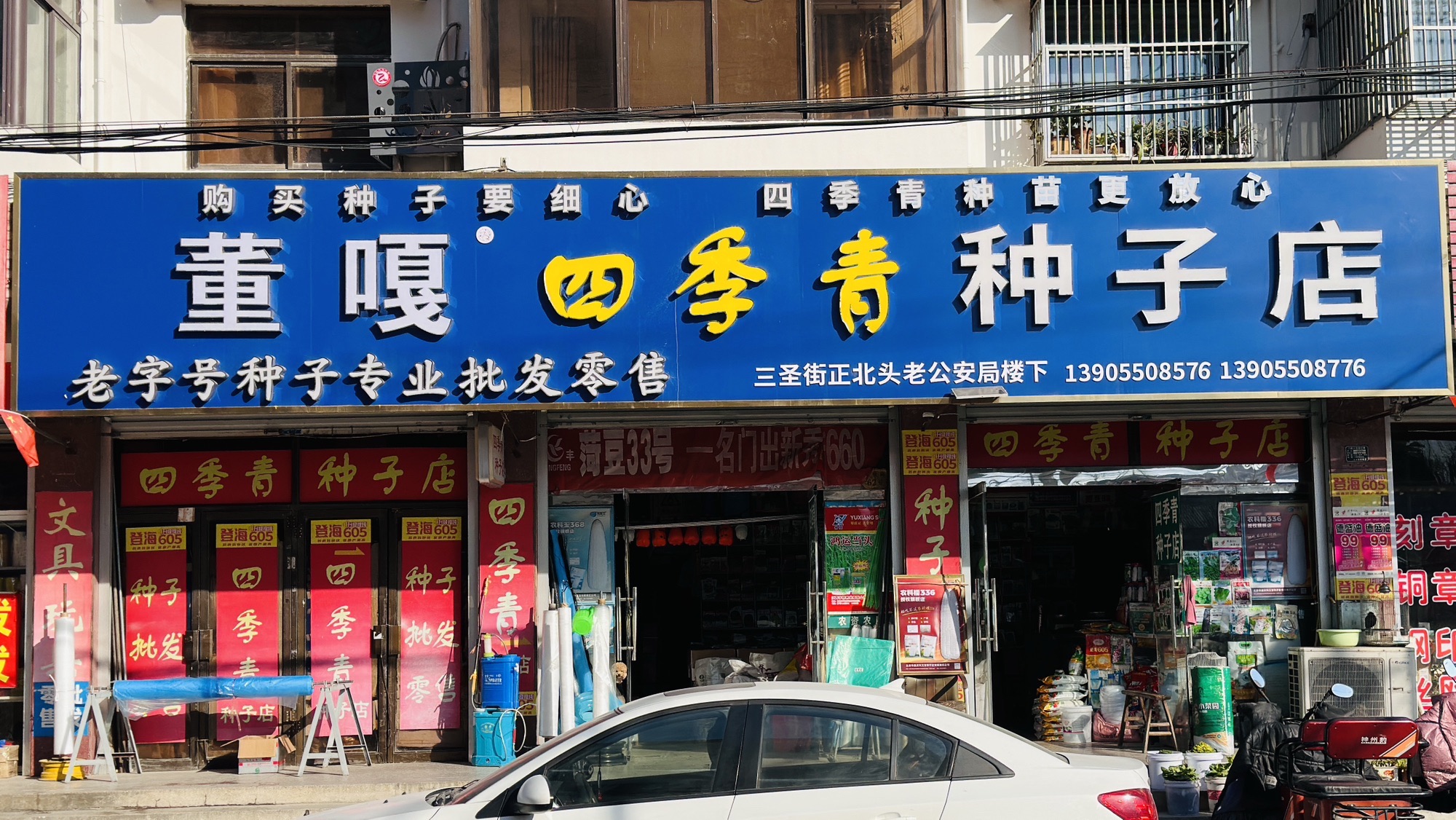 董嘎四季青种子店