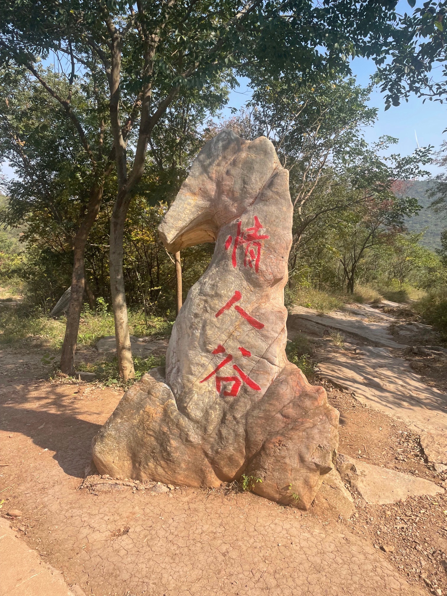 狼巷迷谷旅行图片 3