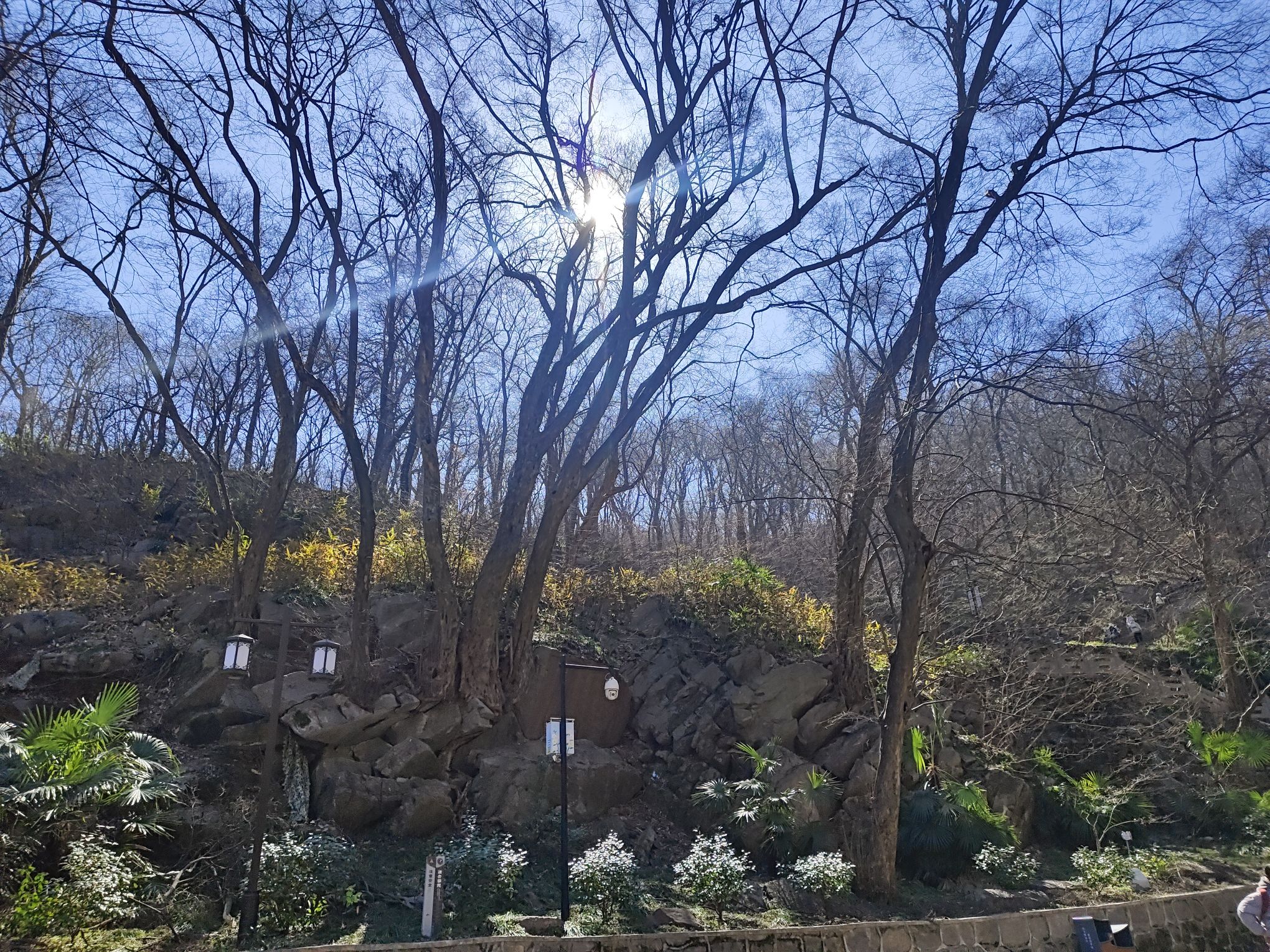 人民广场旅行图片 2