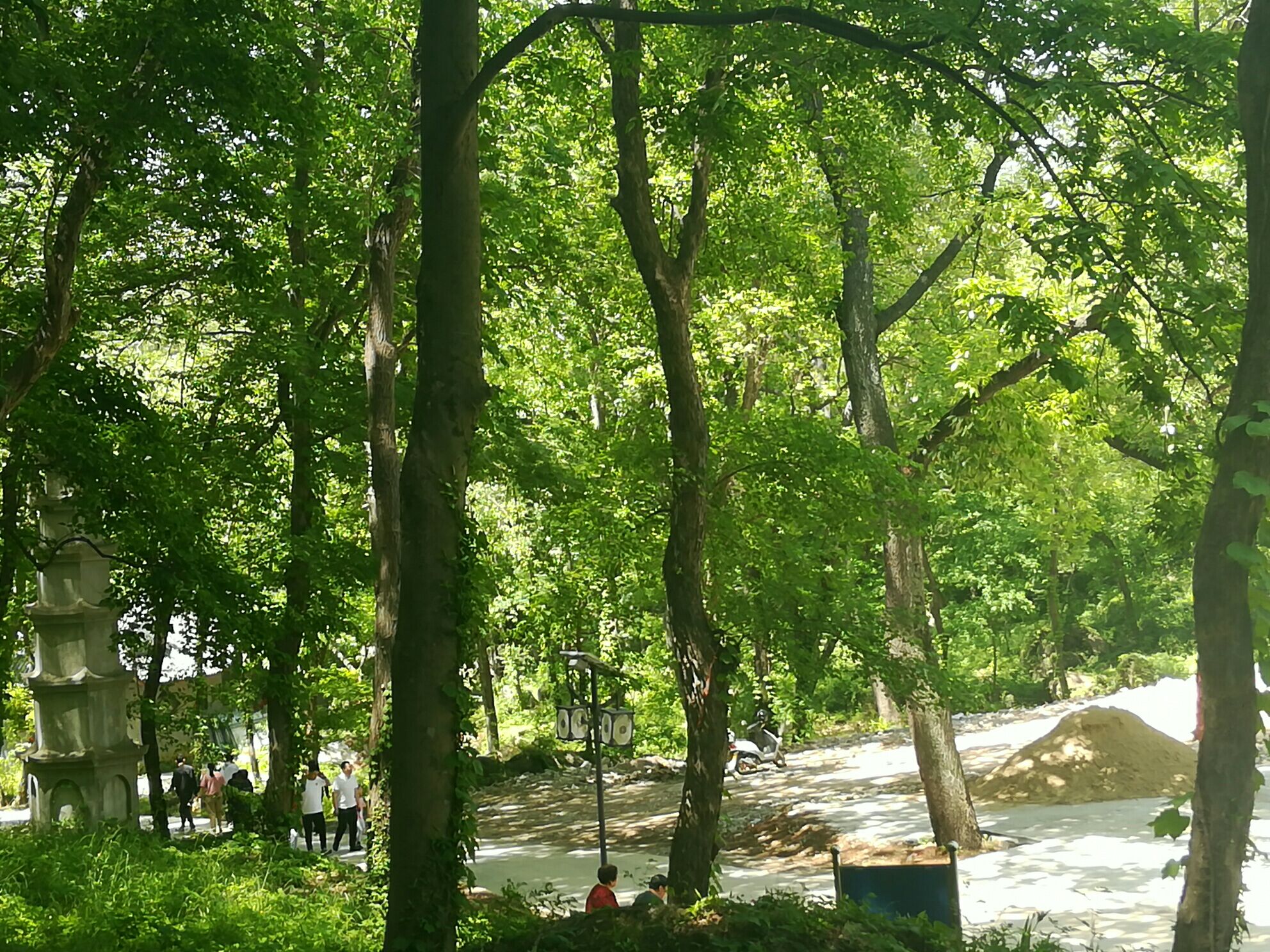 神山国家森林公园旅行图片 3