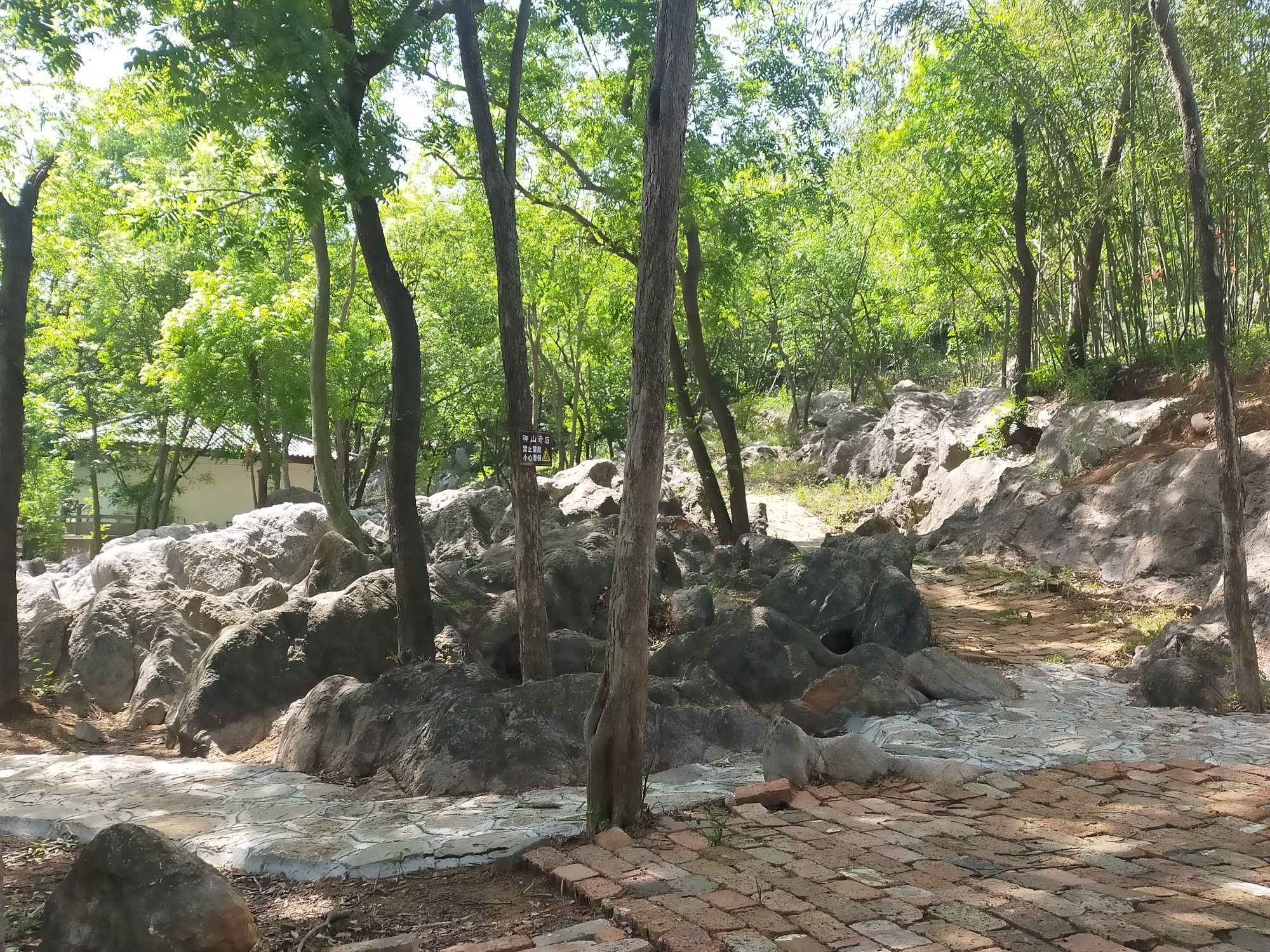 神山国家森林公园旅行图片 1
