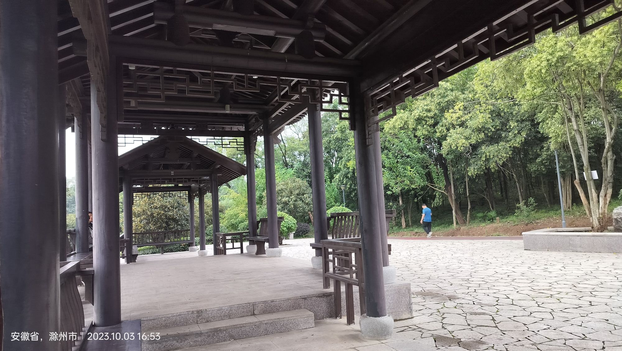 南屏山森林公园旅行图片 2