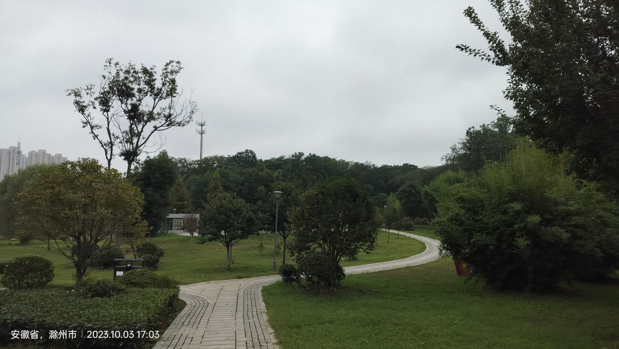 南屏山森林公园旅行图片 3