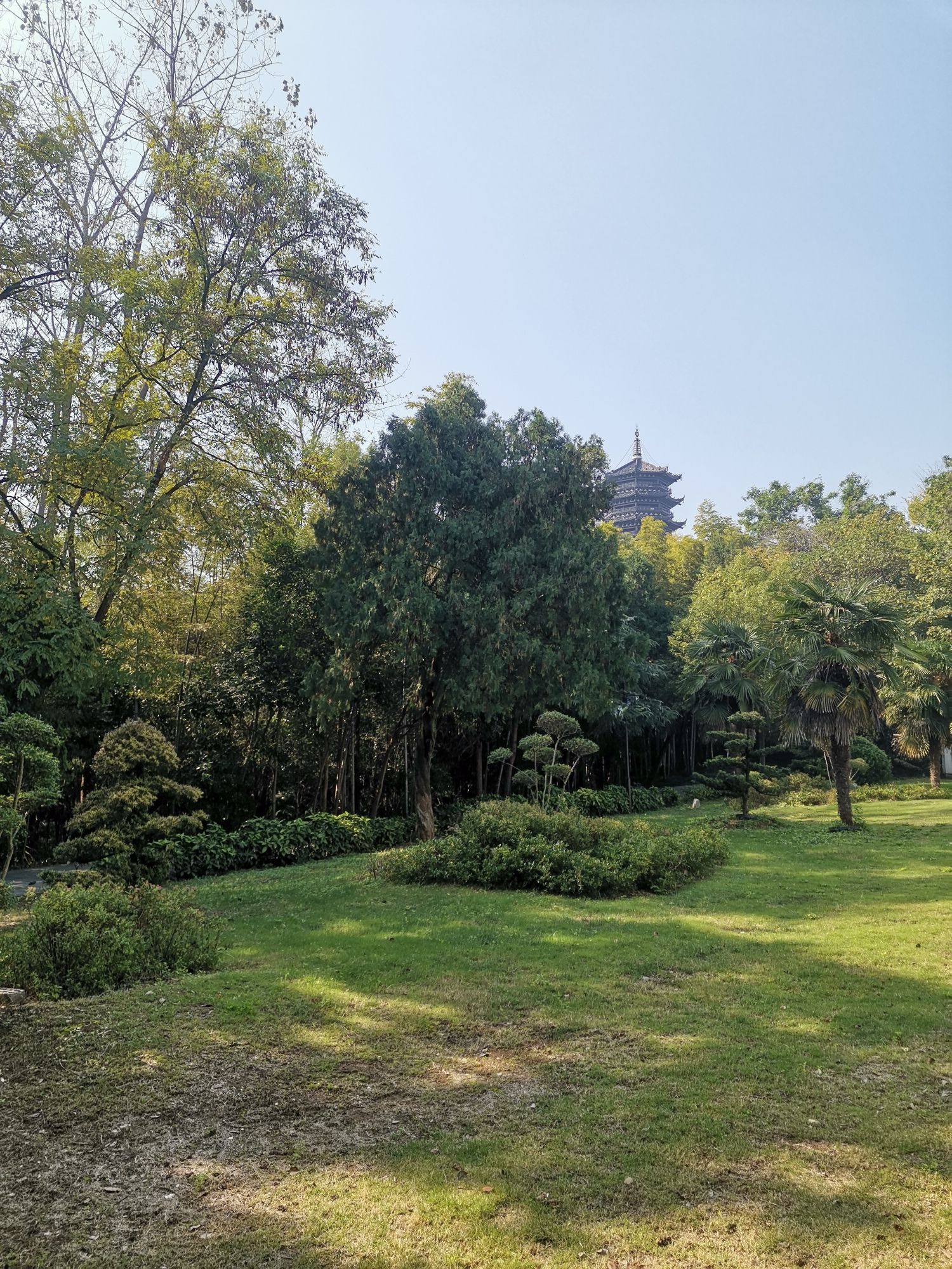 南屏山森林公园旅行图片 2