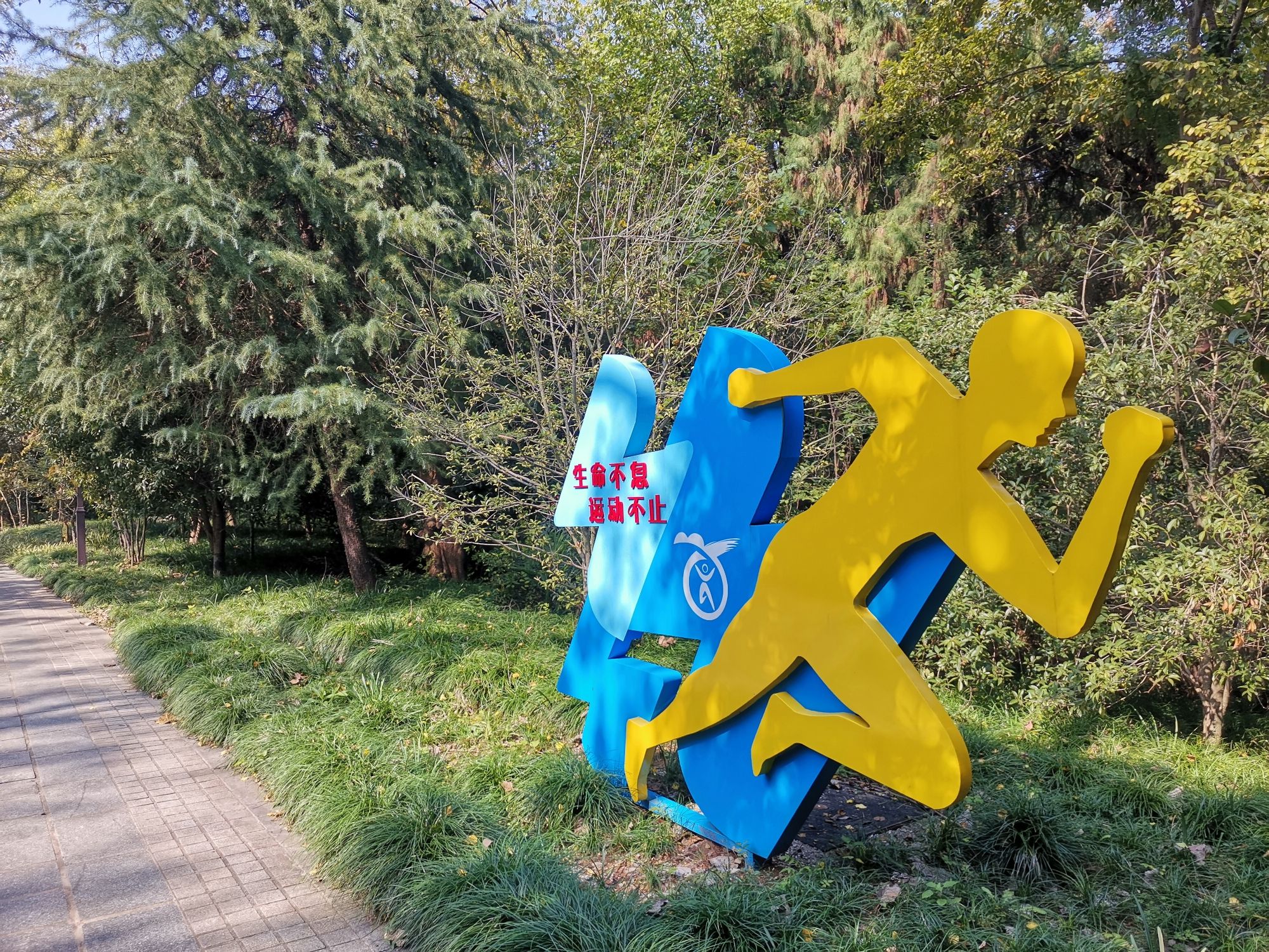 南屏山森林公园旅行图片 1