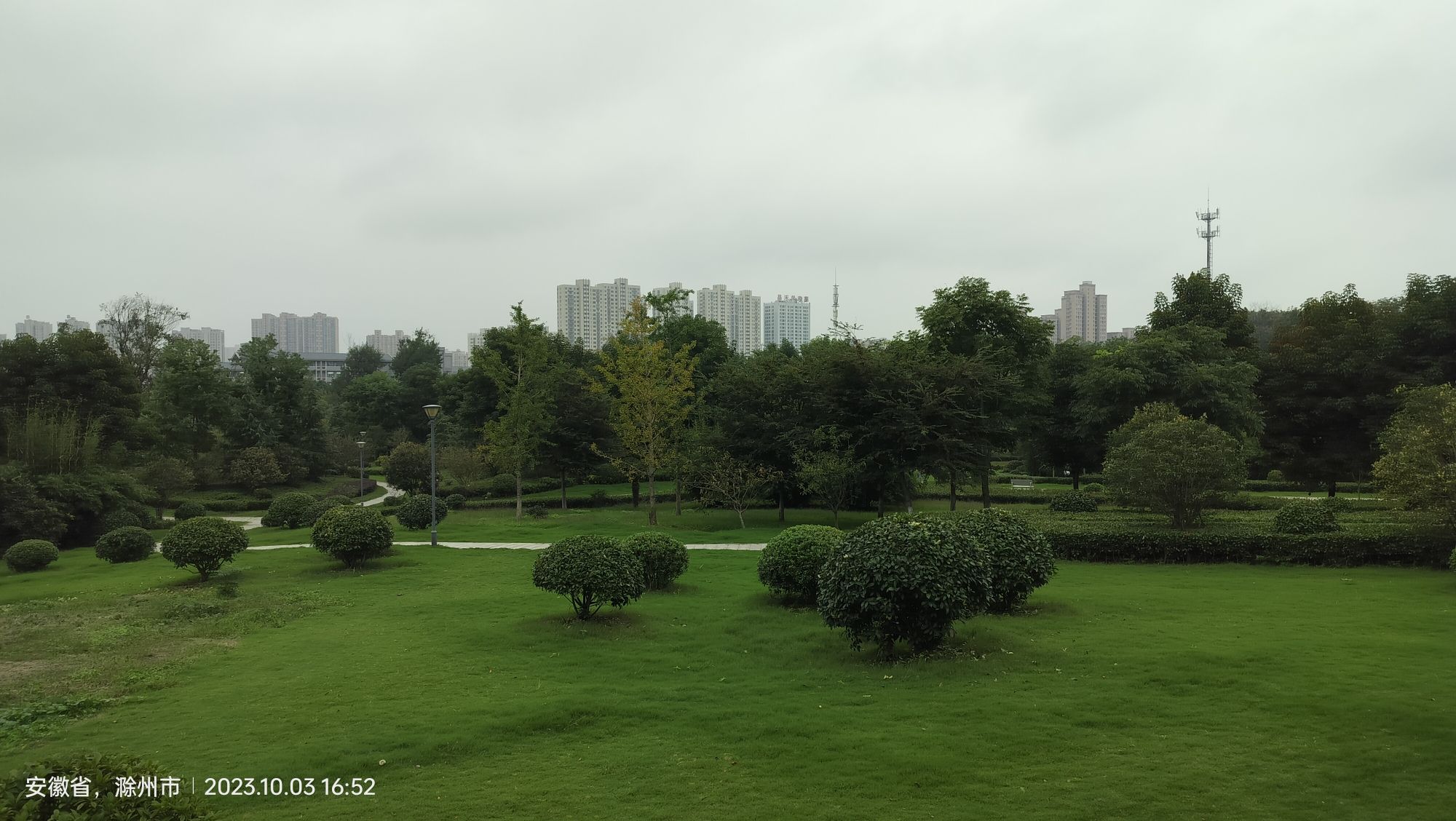 南屏山森林公园旅行图片 1