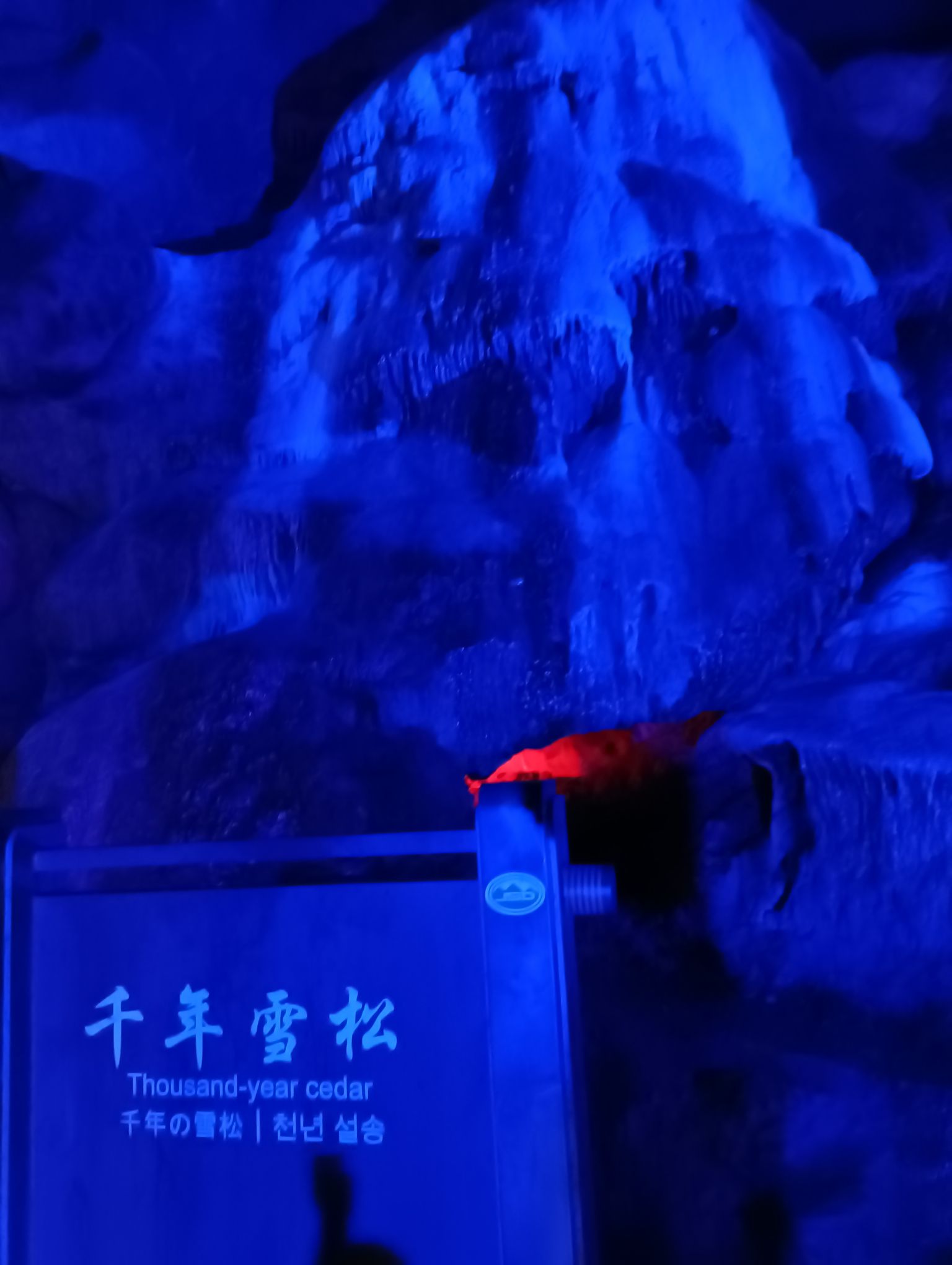 凤阳韭山洞旅行图片 2
