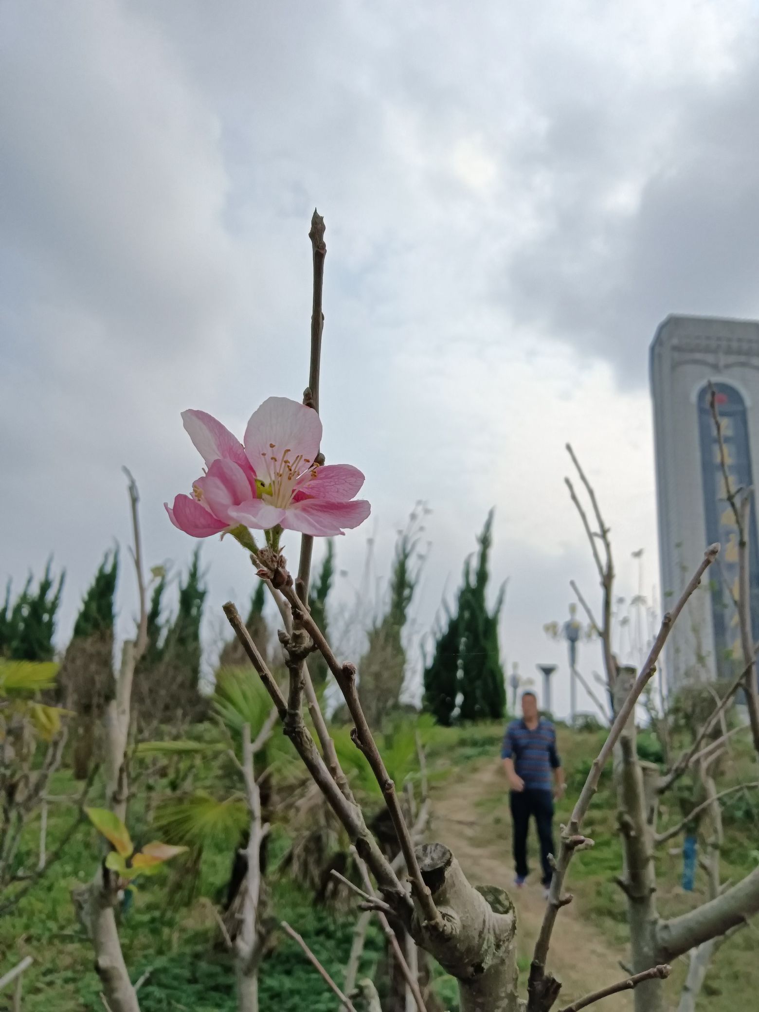 令狐山风景区旅行图片 2