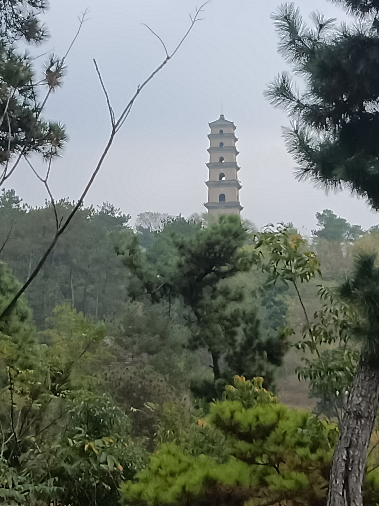 令狐山风景区旅行图片 1