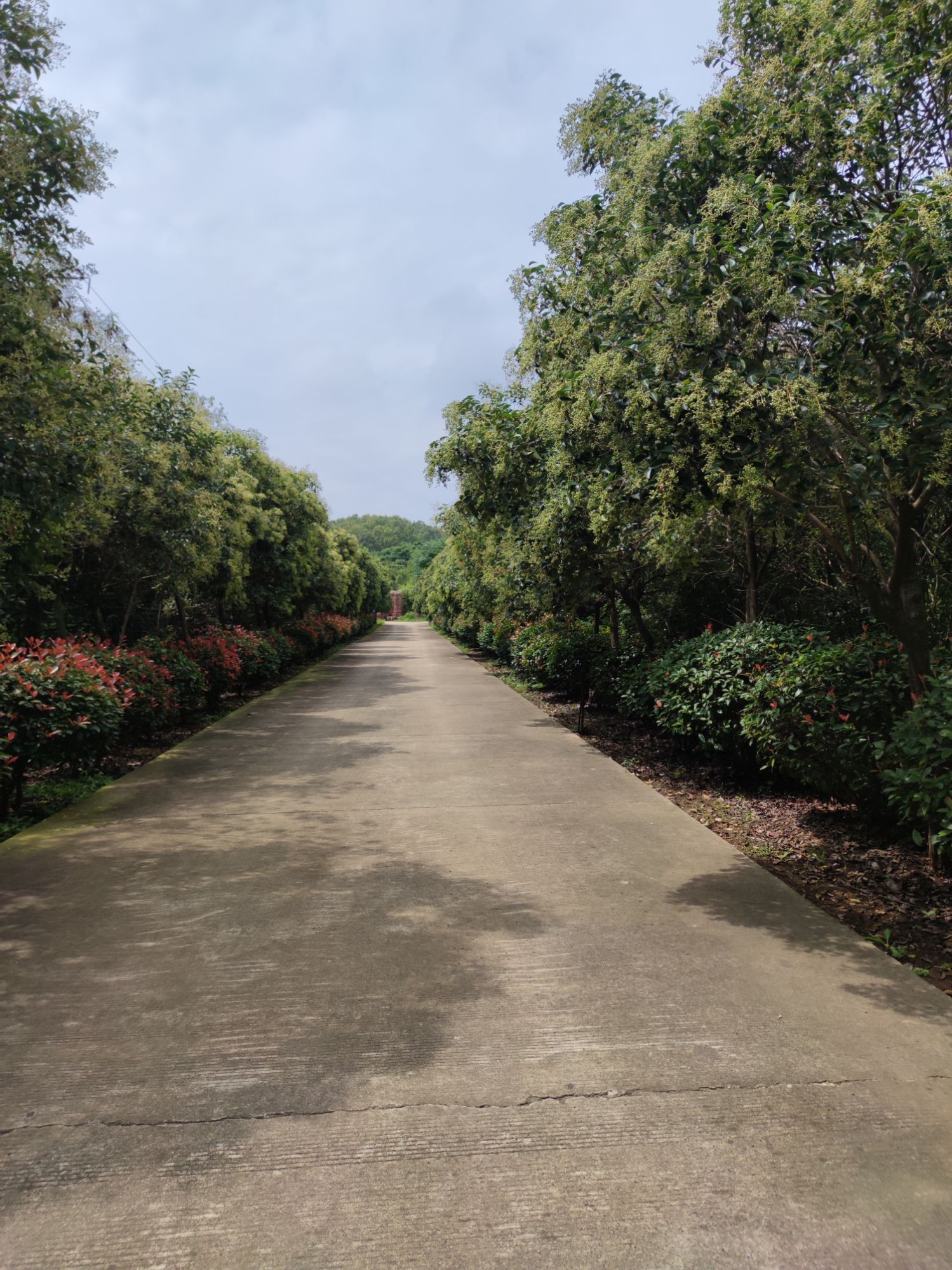 女山地质公园旅行图片 3