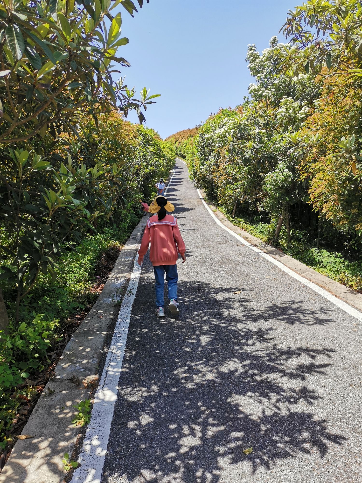 皇甫山国家森林公园旅行图片 2
