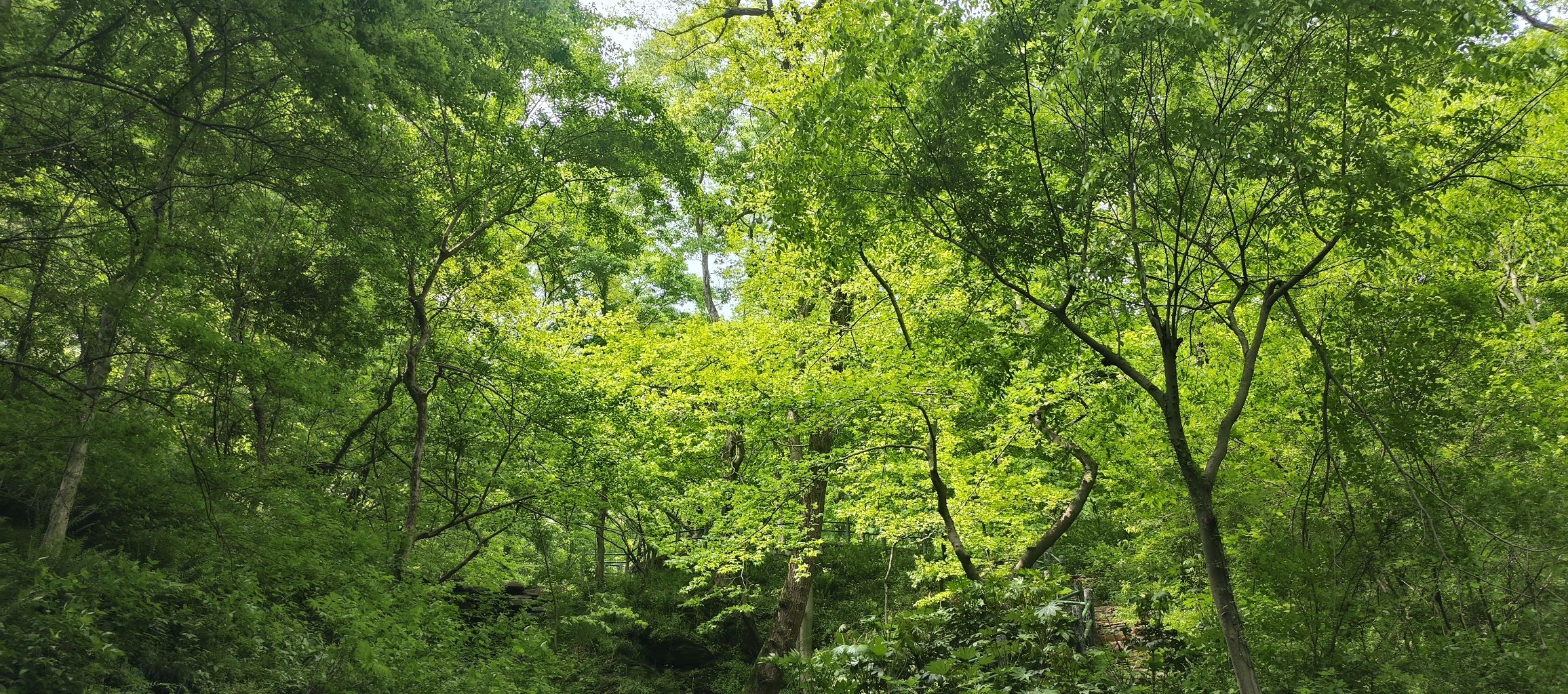 皇甫山国家森林公园旅行图片 3