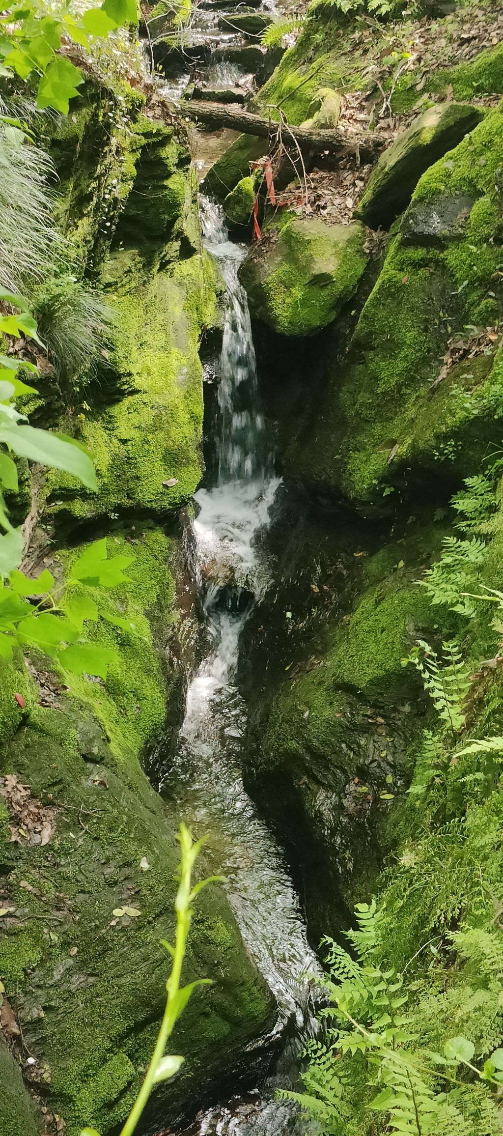 皇甫山国家森林公园旅行图片 2