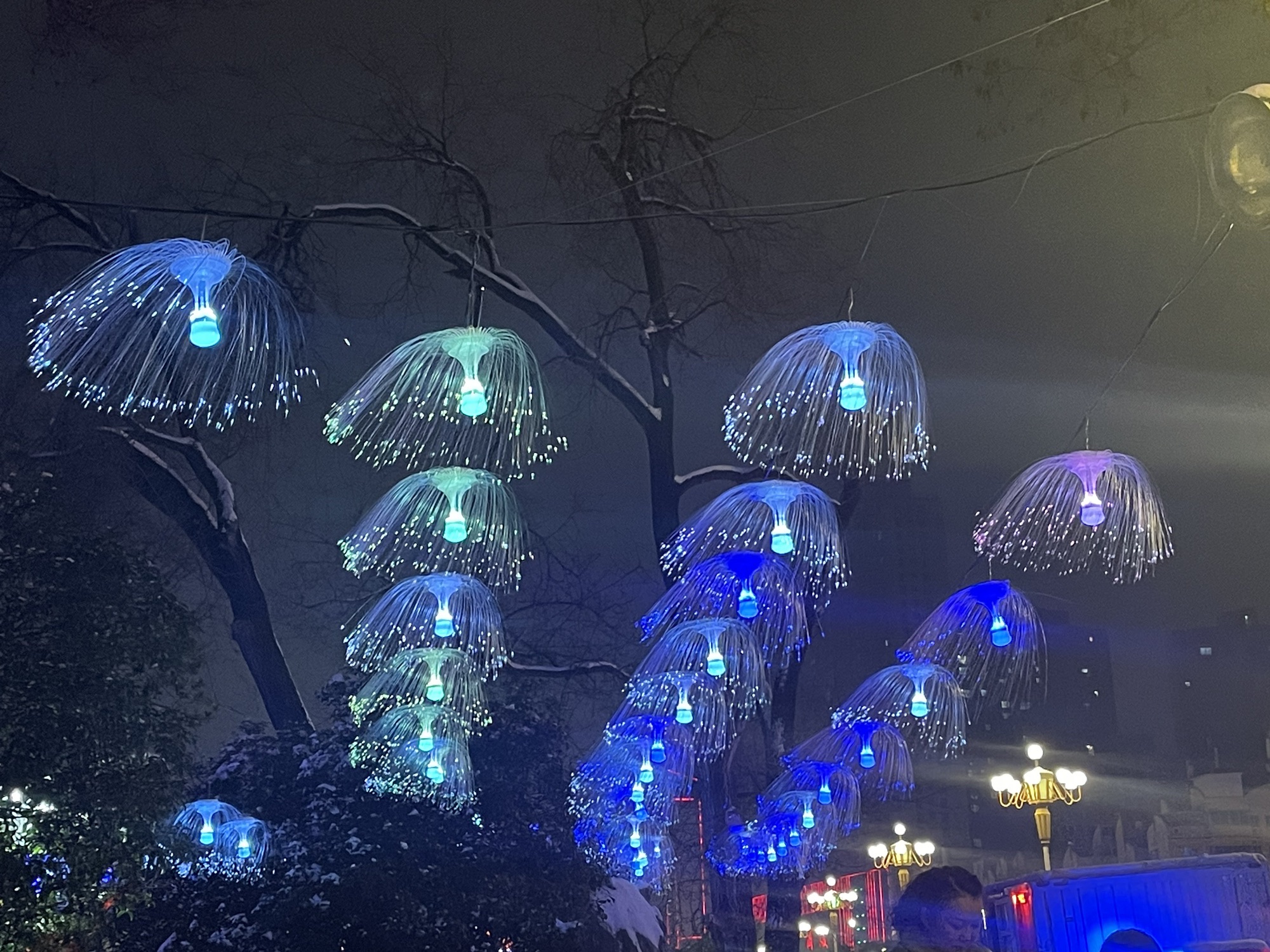 南湖公园旅行图片 2