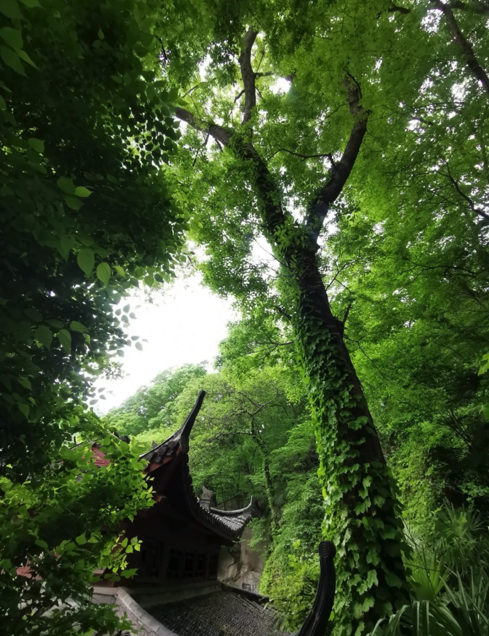 滁州琅琊山冠景国际旅游度假中心