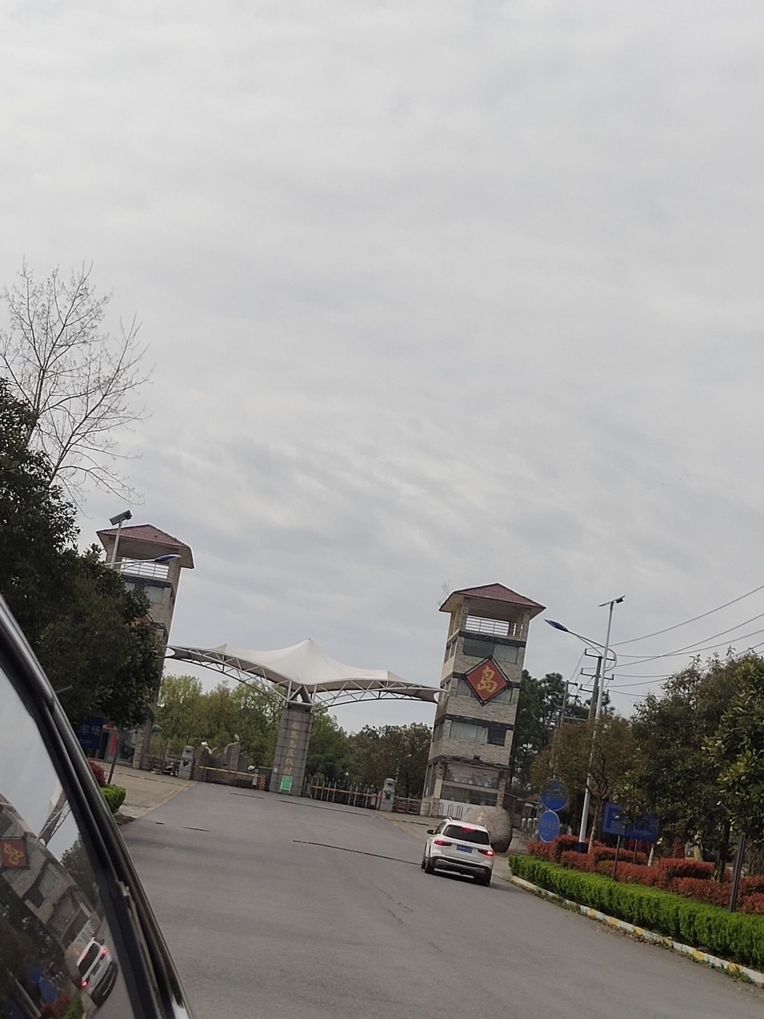 白鹭岛森林公园旅行图片 1