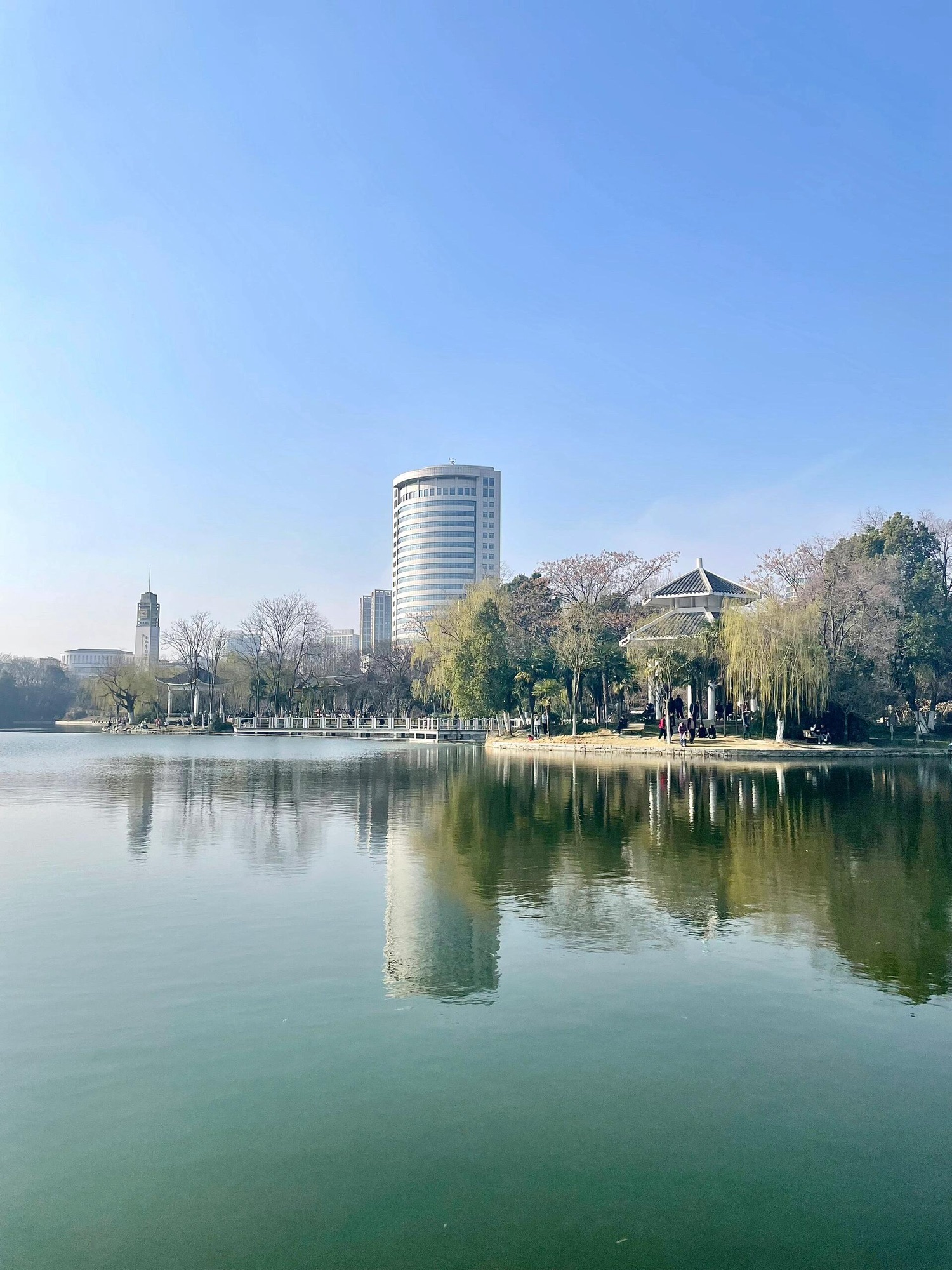 杏花公园旅行图片 1