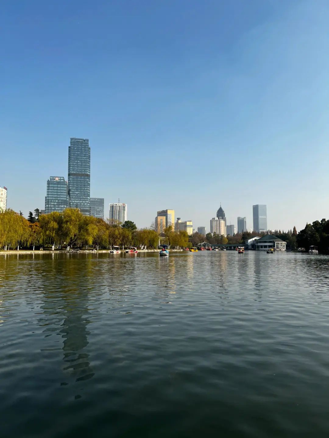 杏花公园旅行图片 2