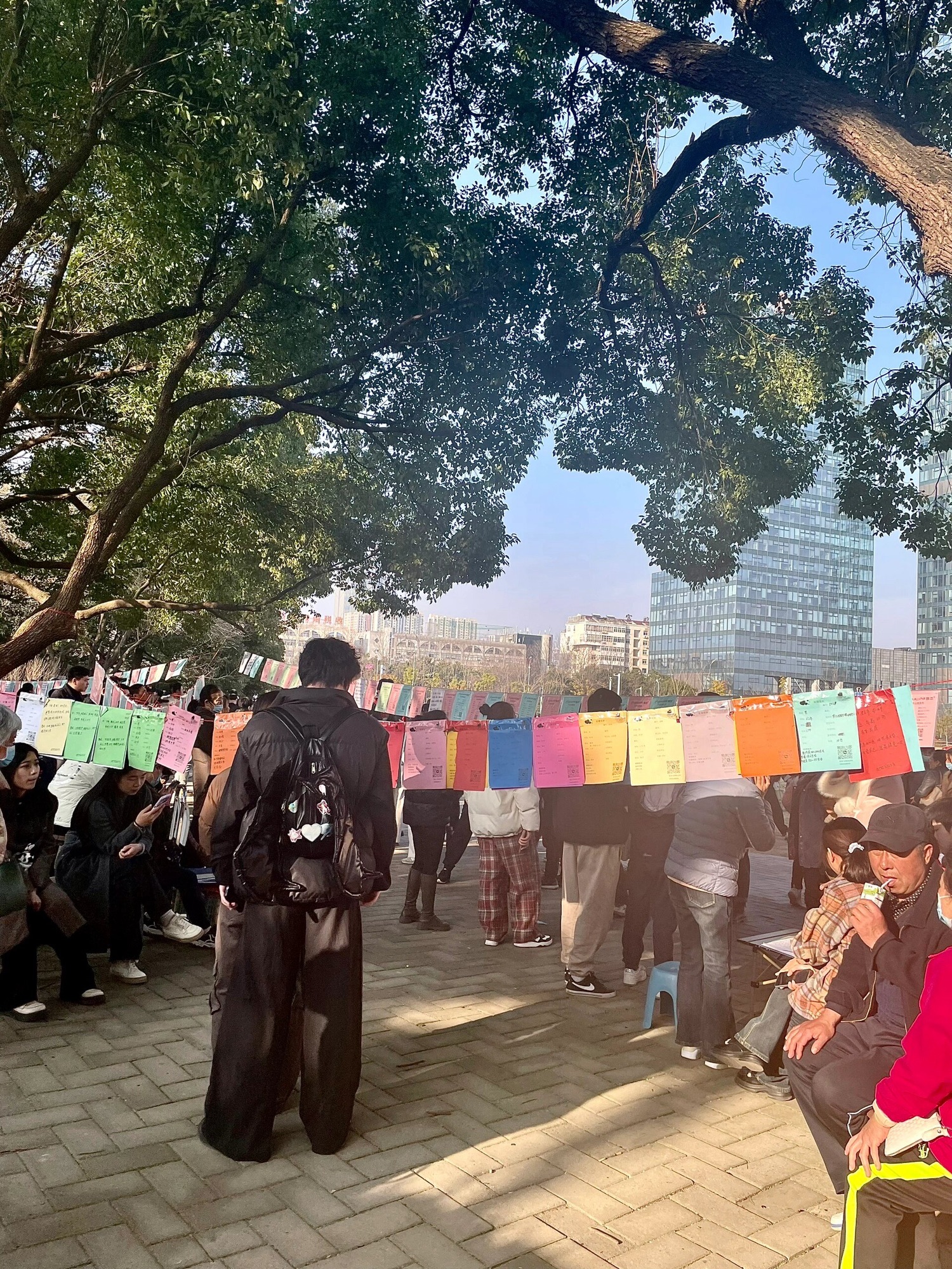 杏花公园旅行图片 2