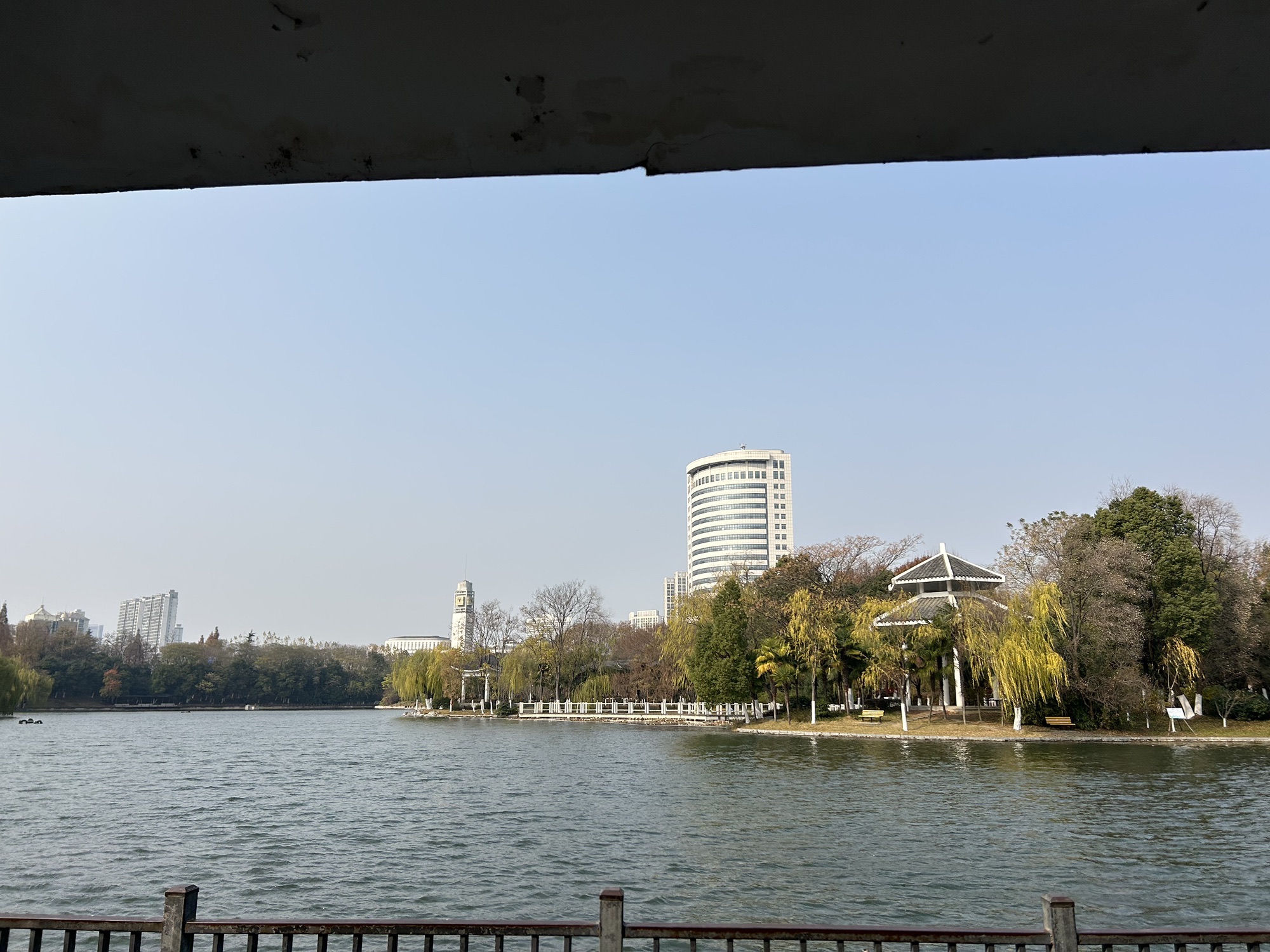 杏花公园旅行图片 3