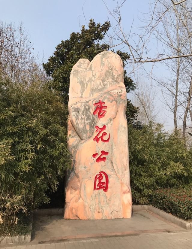 杏花公园旅行图片 1