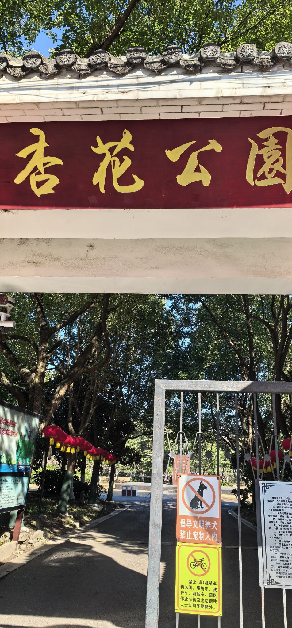杏花公园旅行图片 1