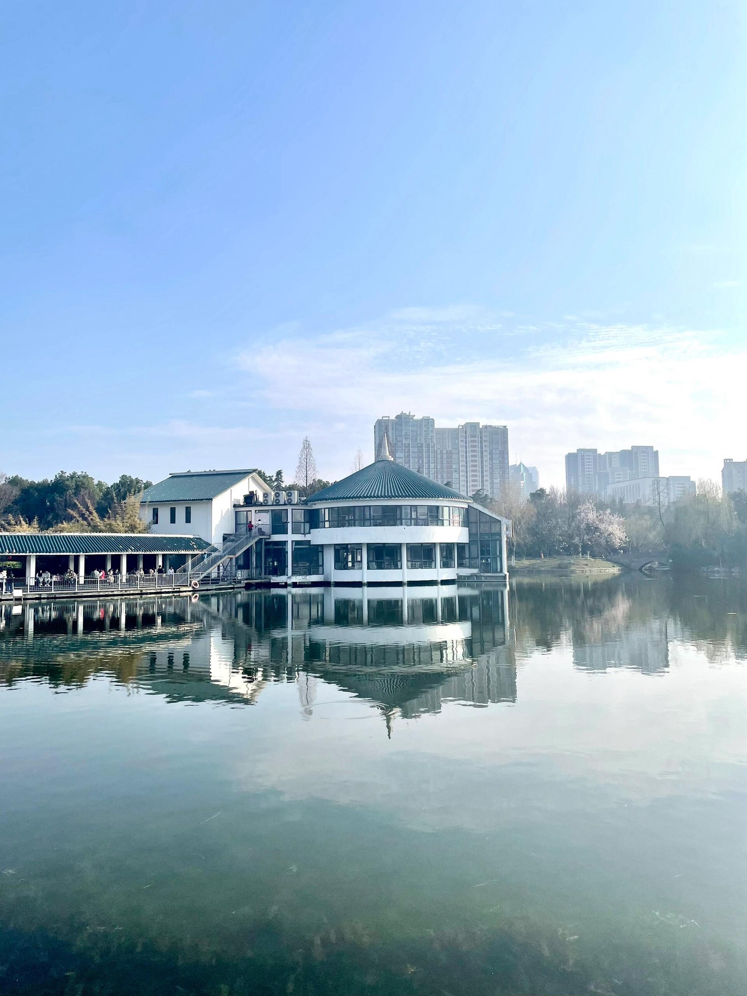 杏花公园旅行图片 2