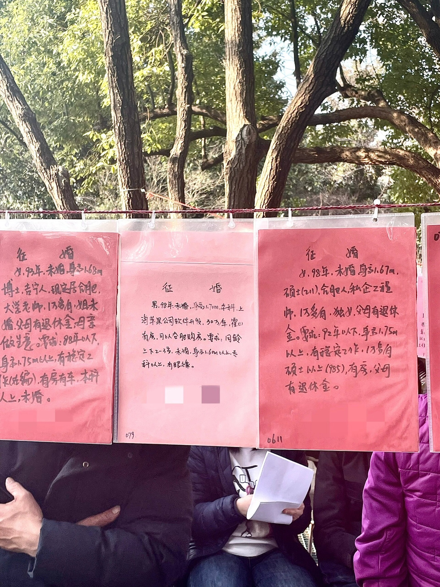 杏花公园旅行图片 3