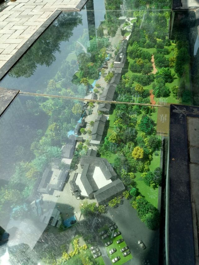 蜀山森林公园旅行图片 3