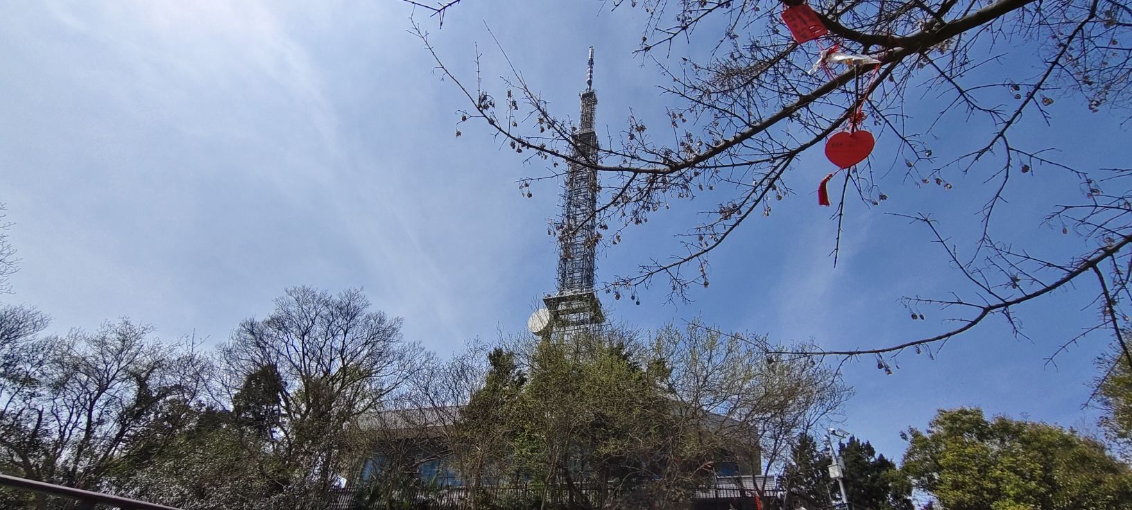 蜀山森林公园旅行图片 2