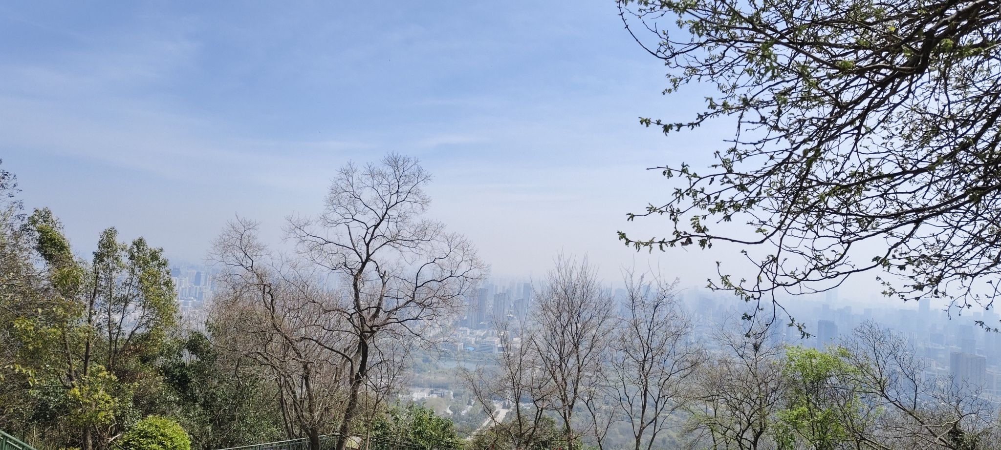 蜀山森林公园旅行图片 3