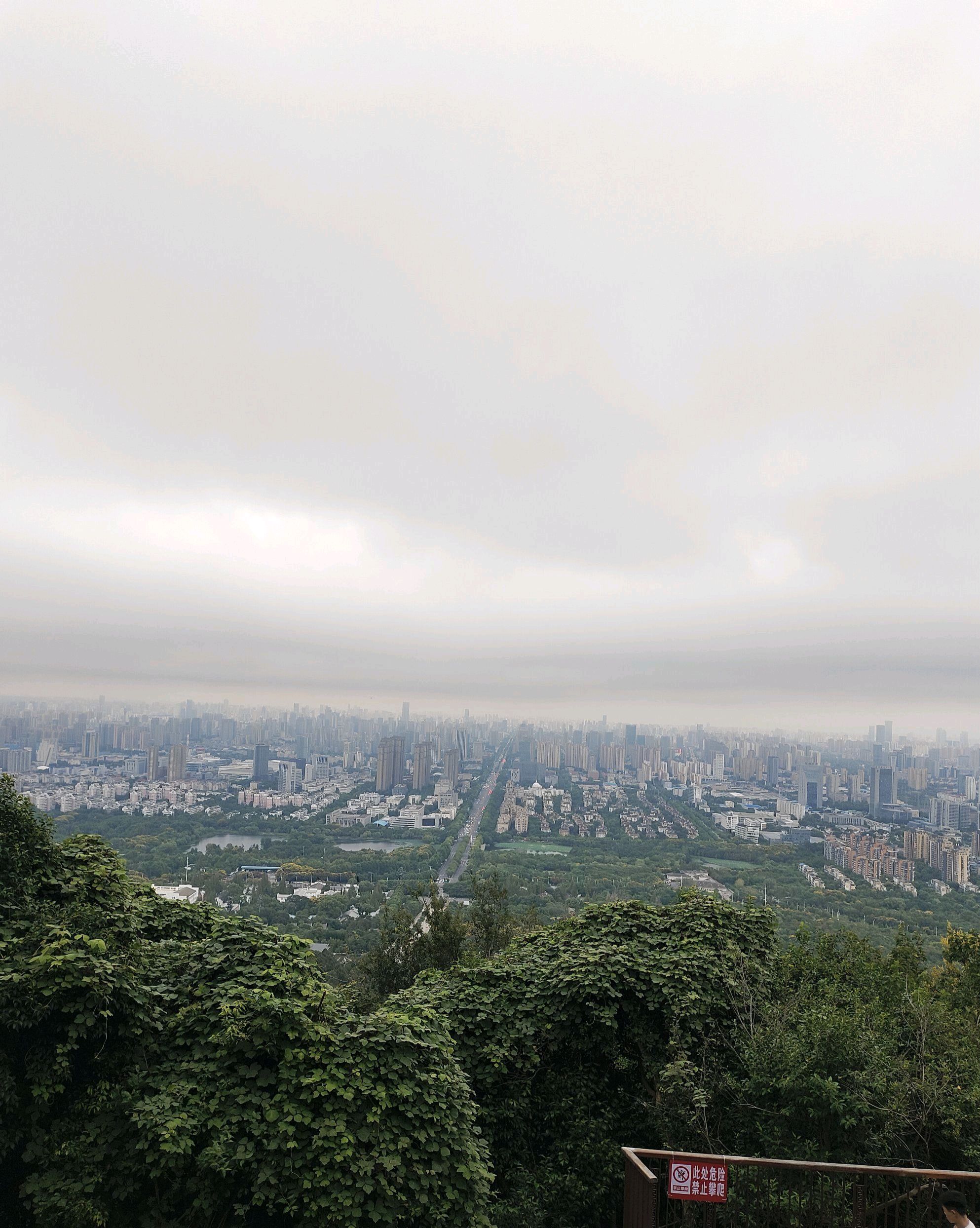 蜀山森林公园旅行图片 3