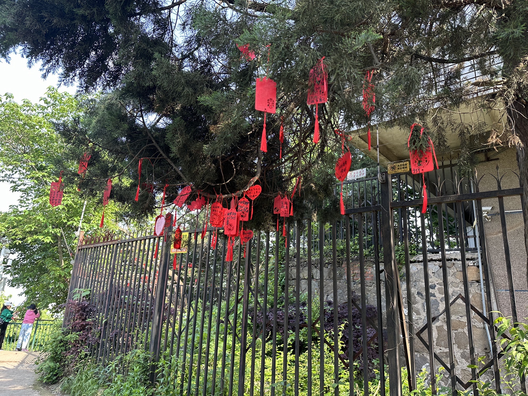 蜀山森林公园旅行图片 3