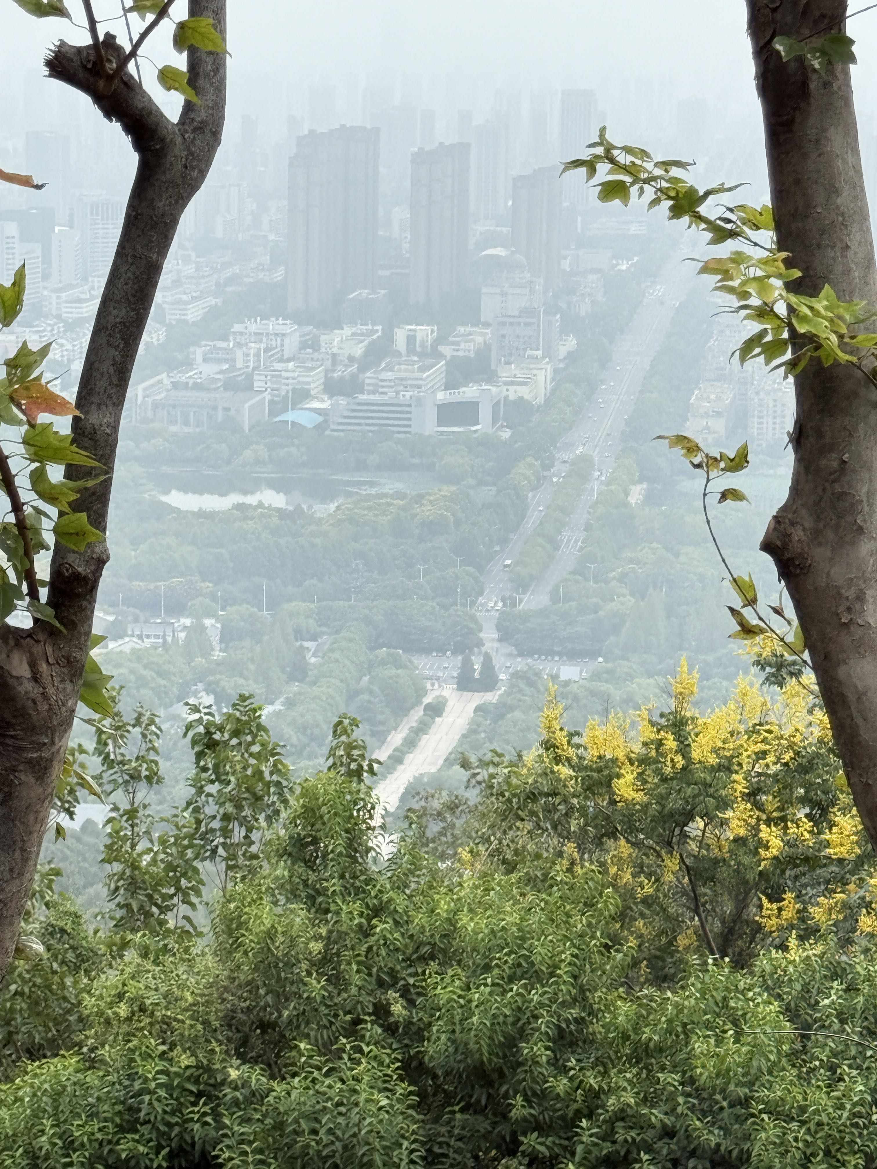 蜀山森林公园旅行图片 3