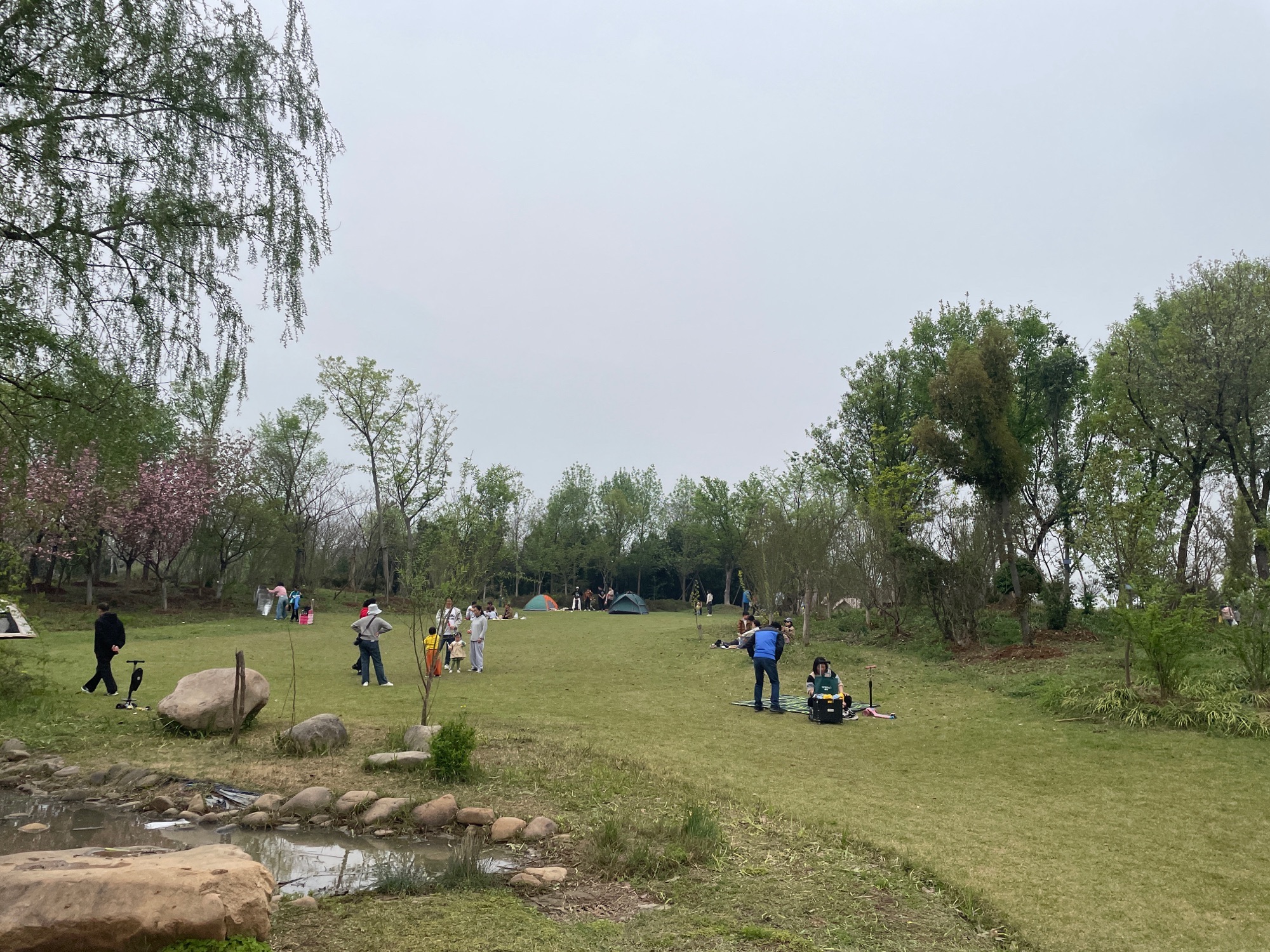 合肥植物园旅行图片 1