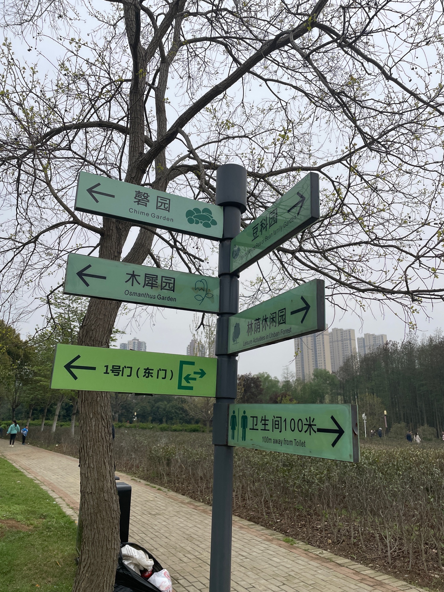 合肥植物园旅行图片 2