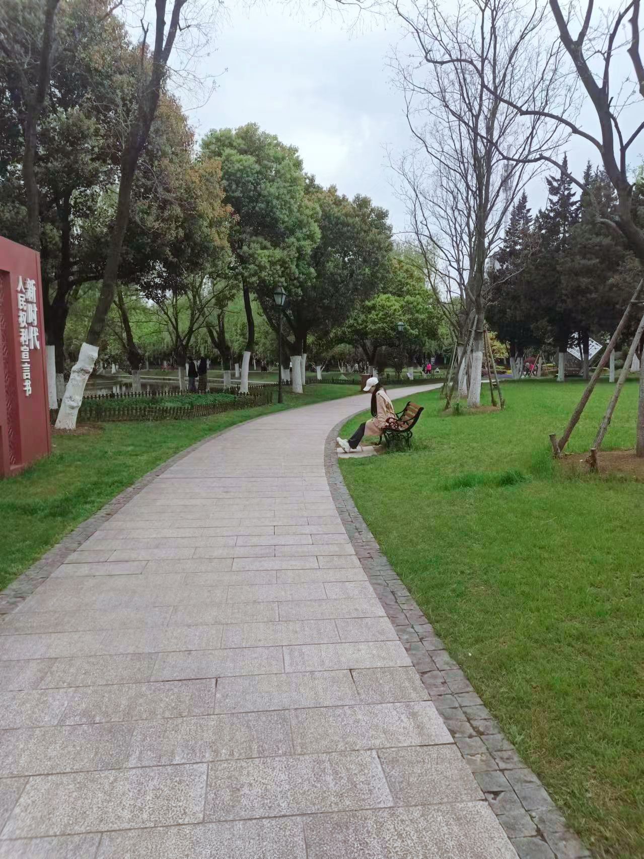 花冲公园旅行图片 3