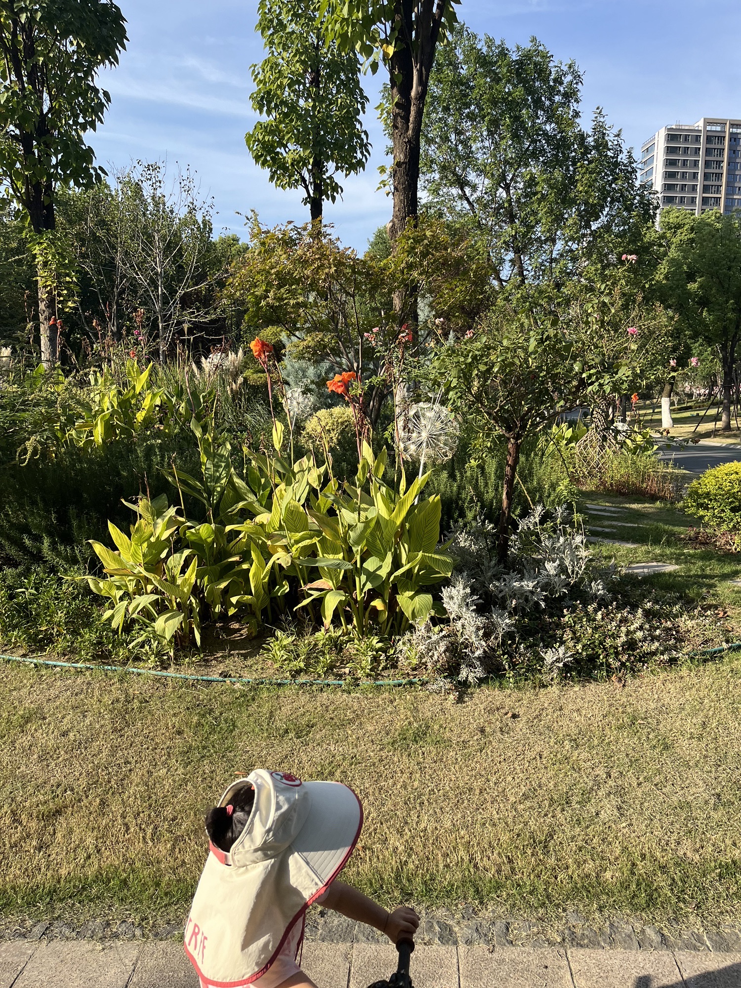 花冲公园旅行图片 3