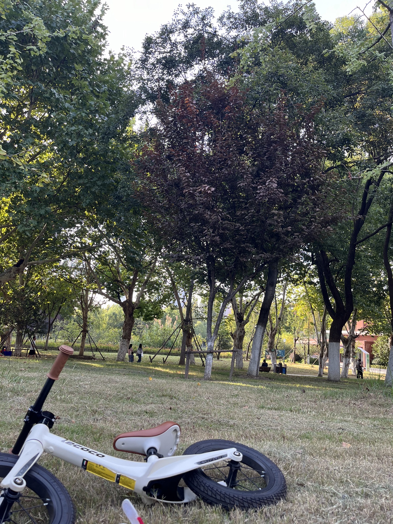 花冲公园旅行图片 2