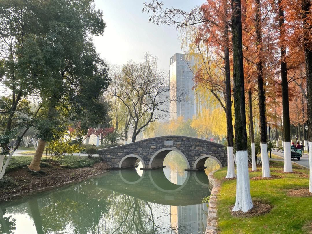 花冲公园旅行图片 3