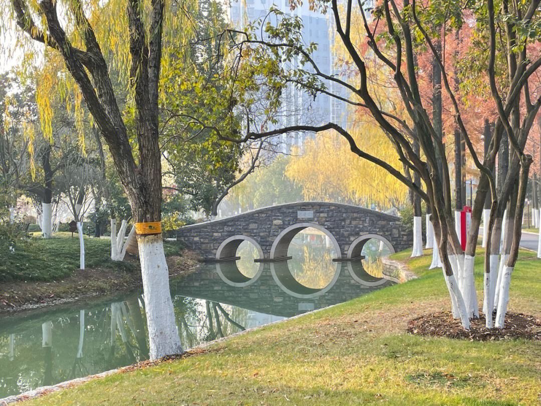 花冲公园旅行图片 1