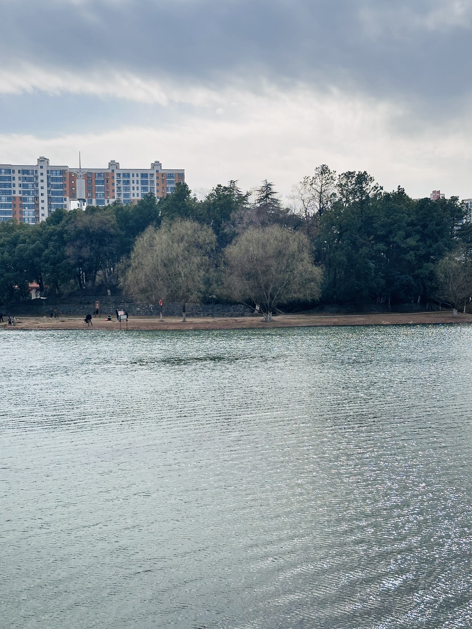 瑶海公园旅行图片 3