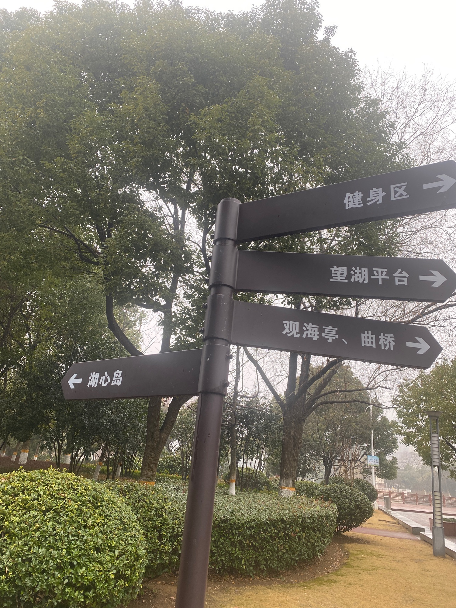 瑶海公园旅行图片 3