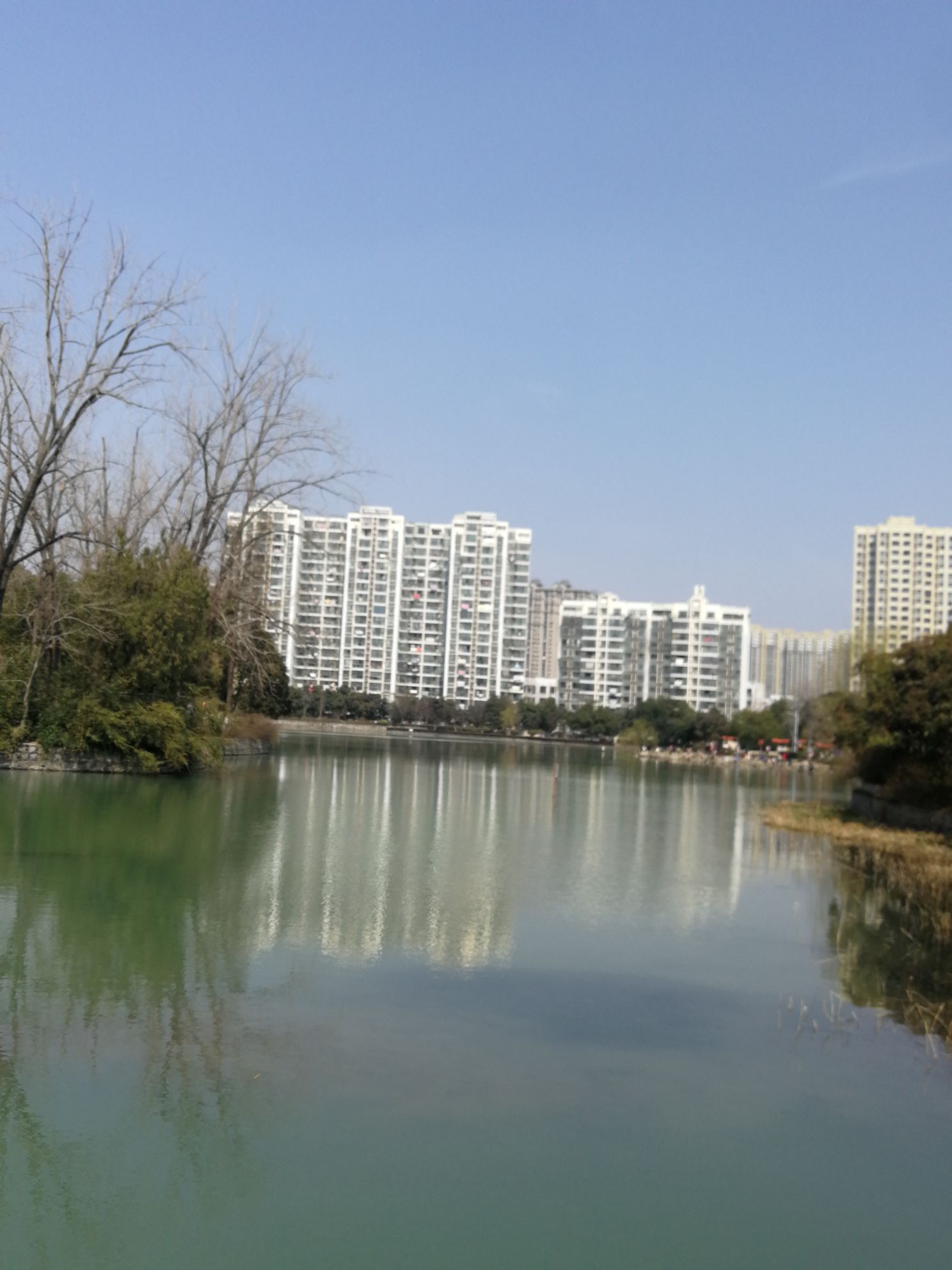 瑶海公园旅行图片 3