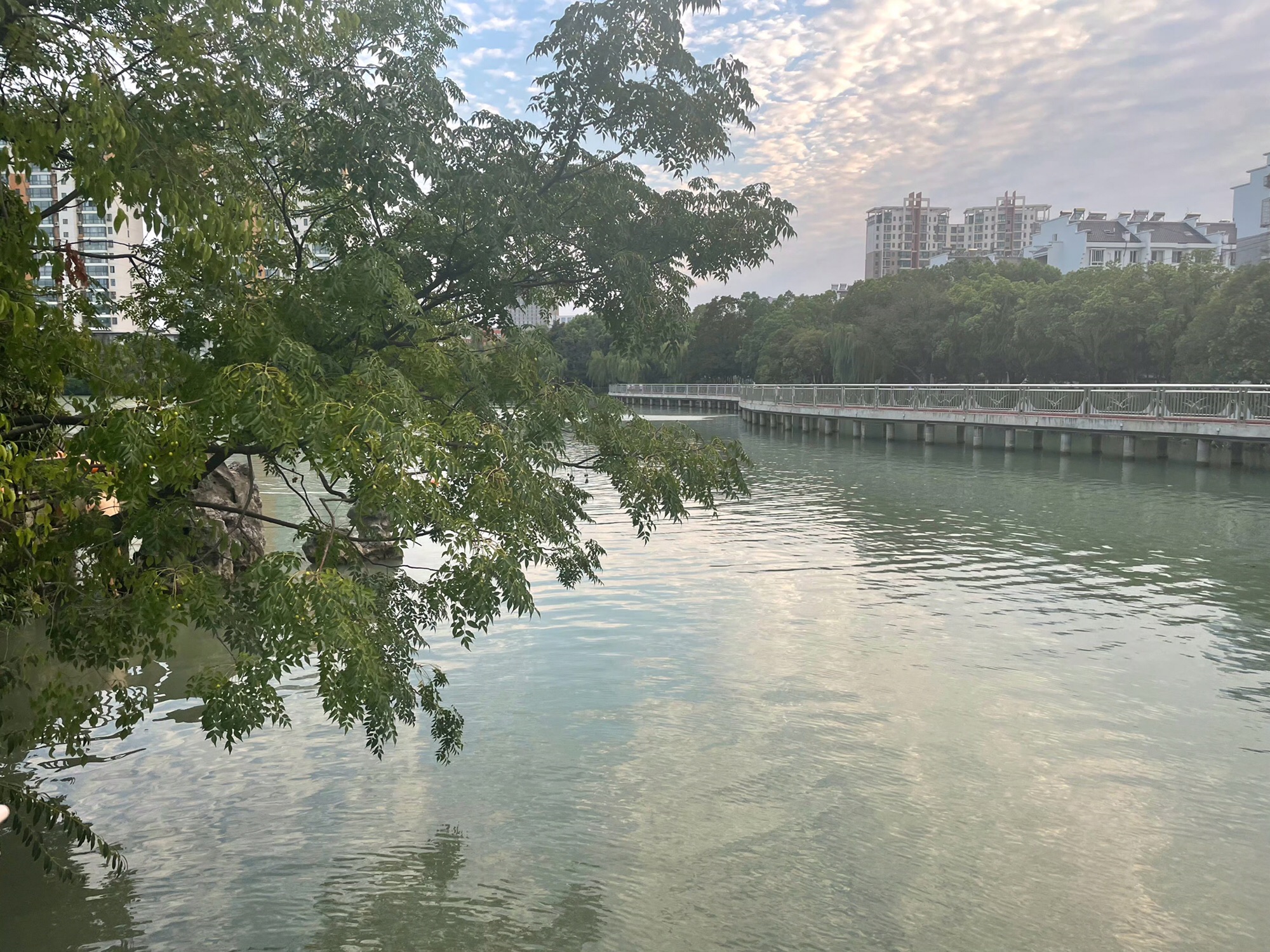 瑶海公园旅行图片 3