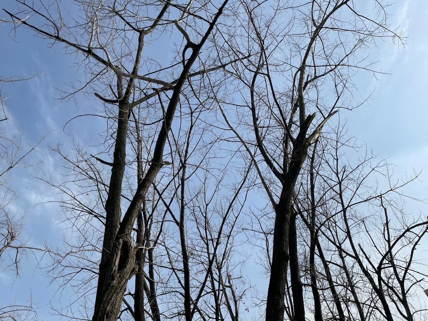 瑶海公园旅行图片 2