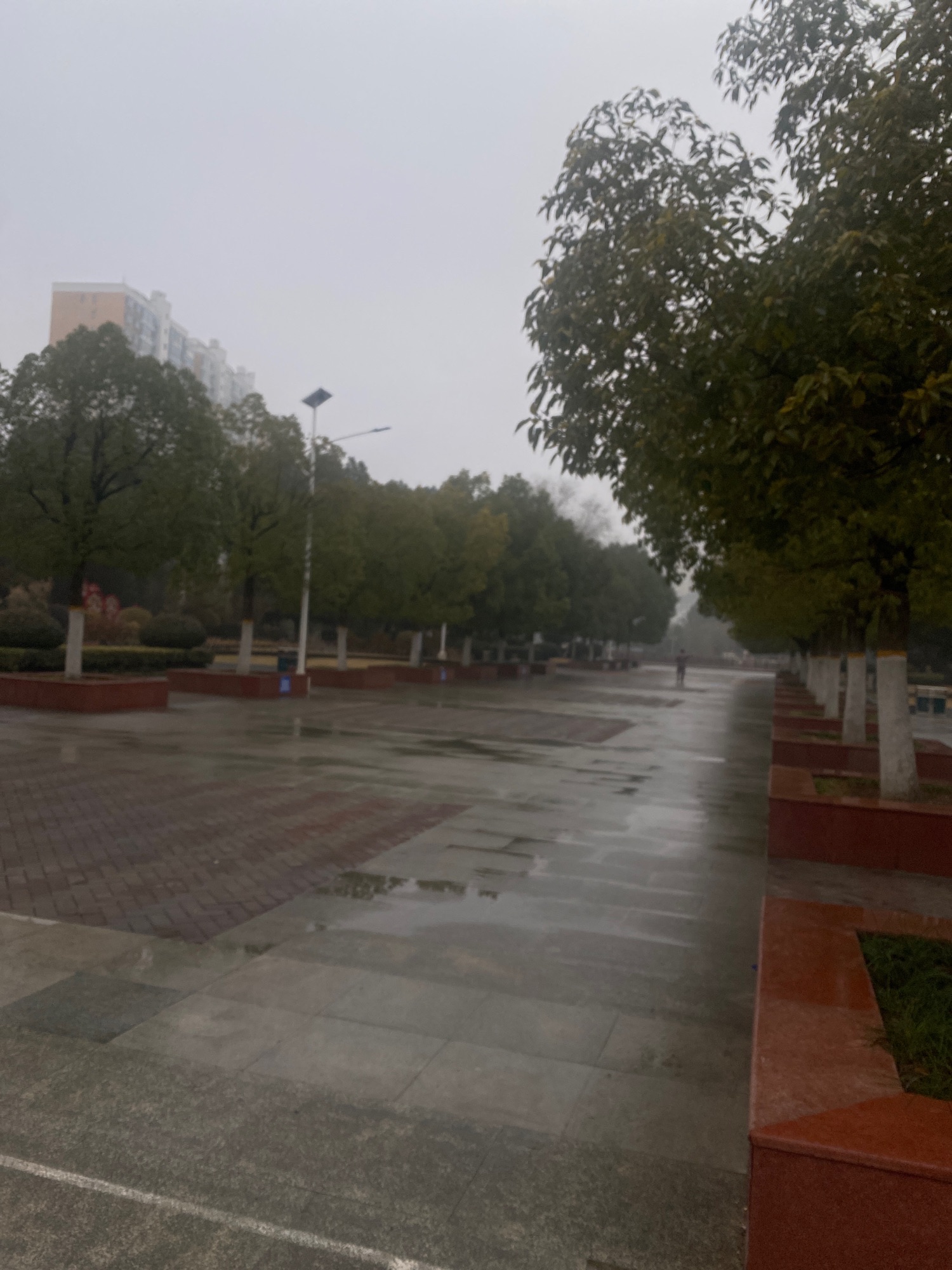 瑶海公园旅行图片 2