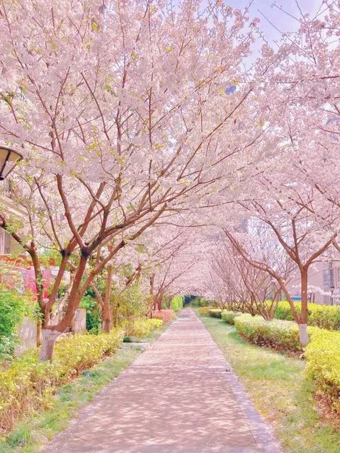 合肥生态公园旅行图片 3
