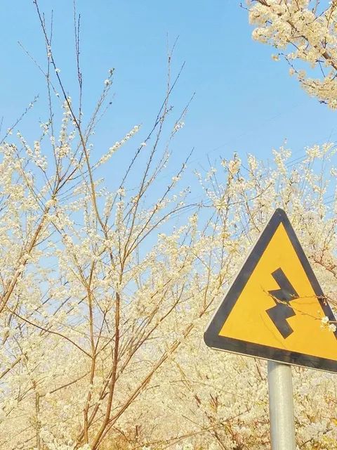 合肥生态公园旅行图片 2
